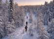 Två personer vandrar på en snötäckt stig genom en vinterskog