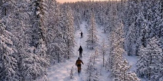 selected-01-svensk-skogspromenad-kaffepaus-optimized Två personer vandrar på en snötäckt stig genom en vinterskog