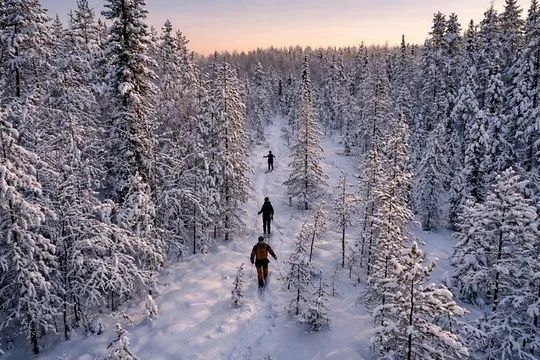 Två personer vandrar på en snötäckt stig genom en vinterskog